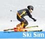 بازی آنلاین شبیه سازی اسکی سواری - ورزشی