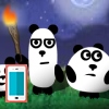 3 Pandas 2 Nacht